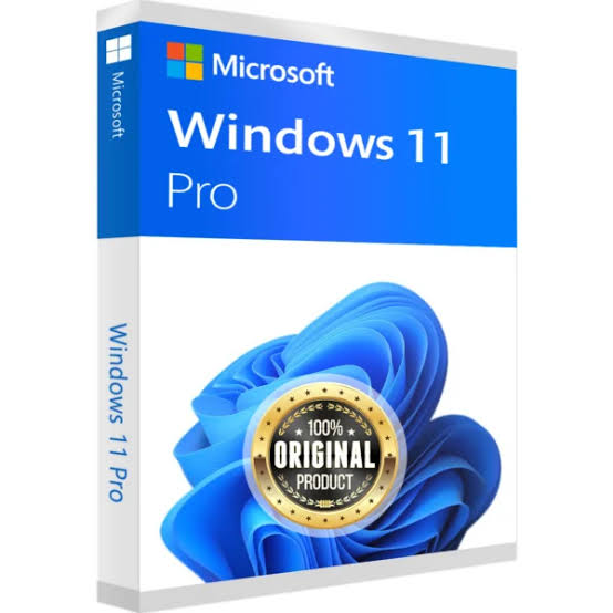 Microsoft Windows 11 Pro Retail License